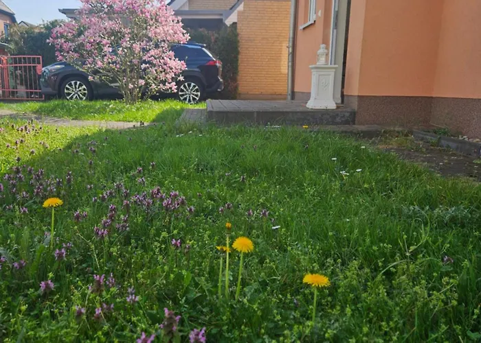 Appartamento Cozy House And Free Parking Berlino